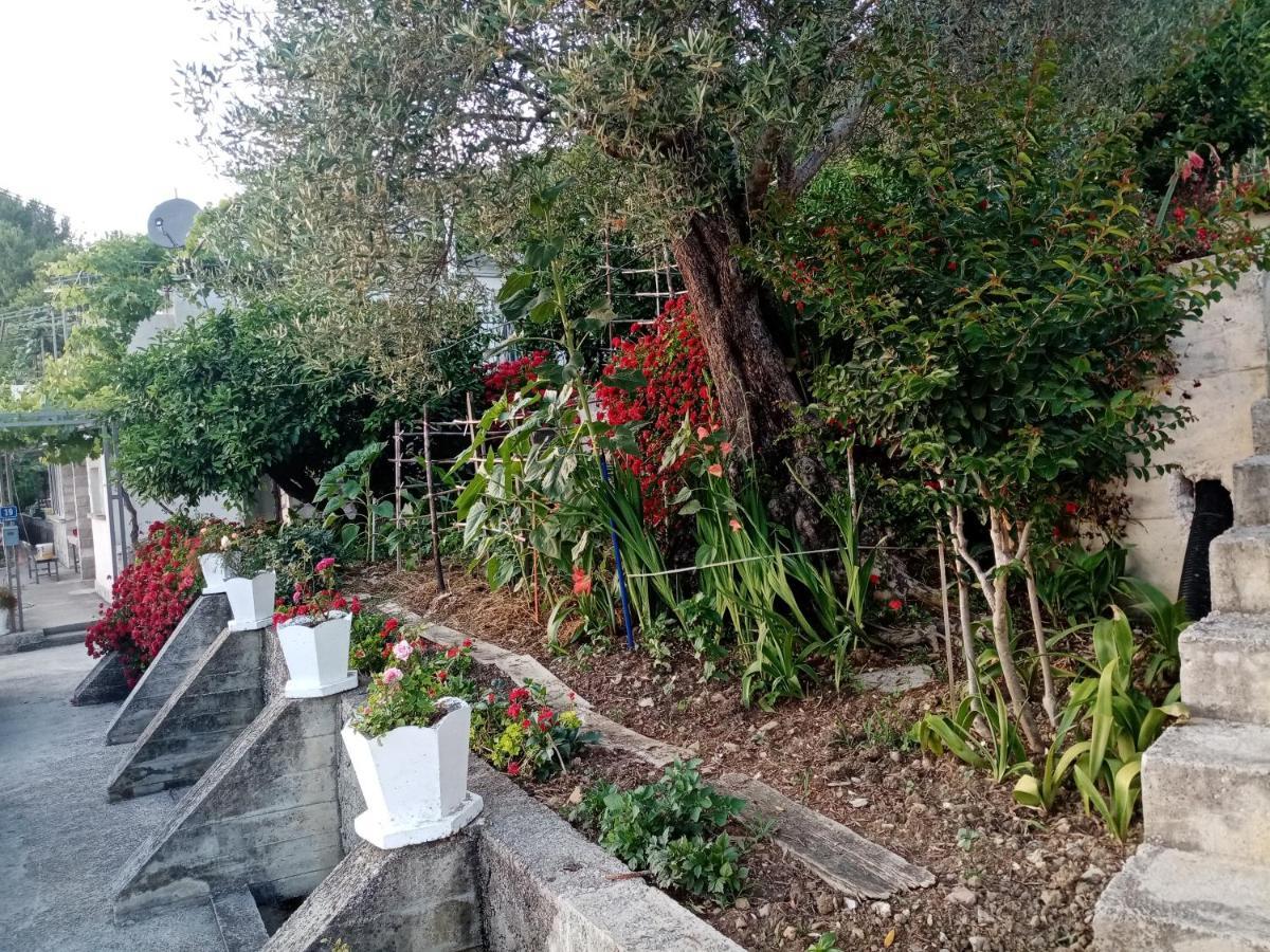 Apartmani Bosco 티바트 외부 사진