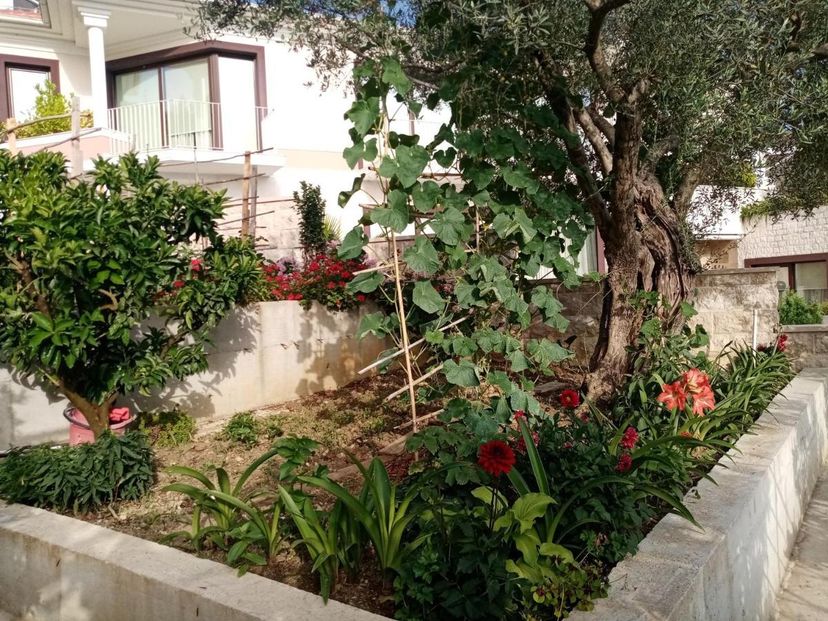 Apartmani Bosco 티바트 외부 사진