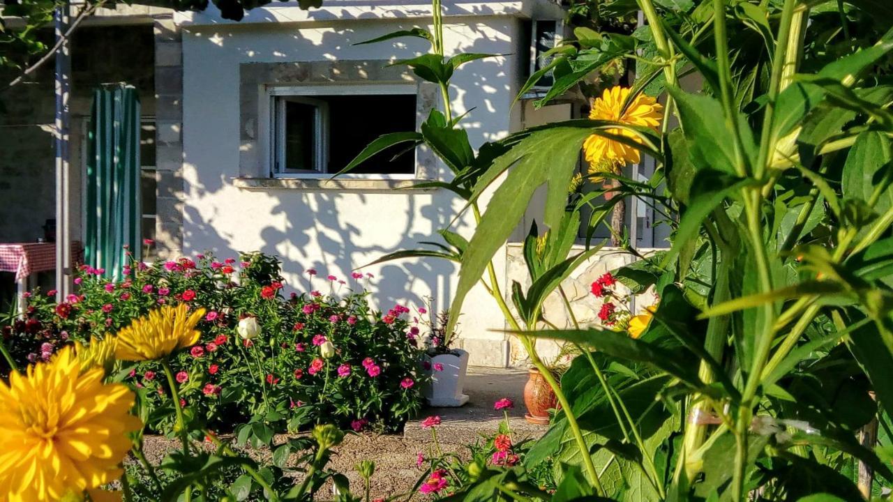 Apartmani Bosco 티바트 외부 사진