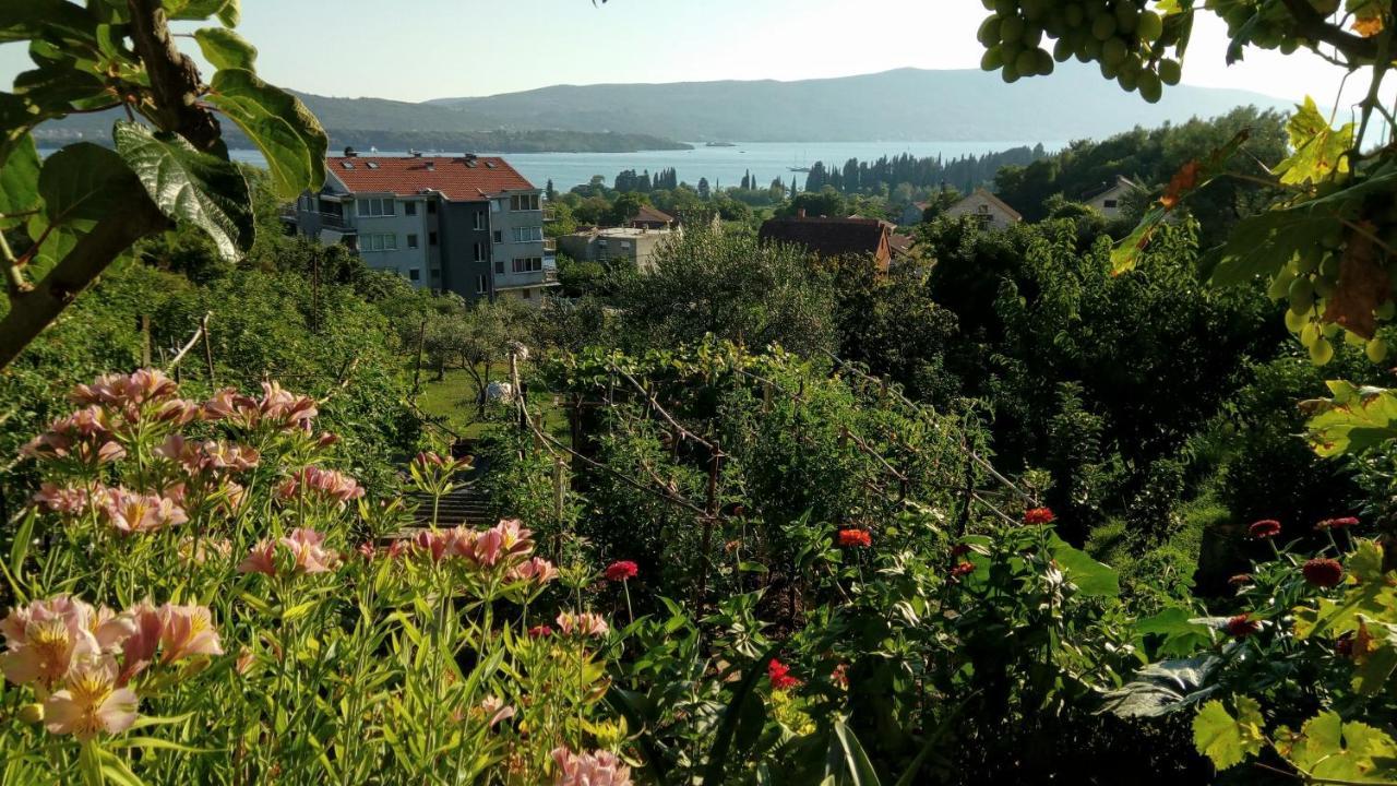 Apartmani Bosco 티바트 외부 사진