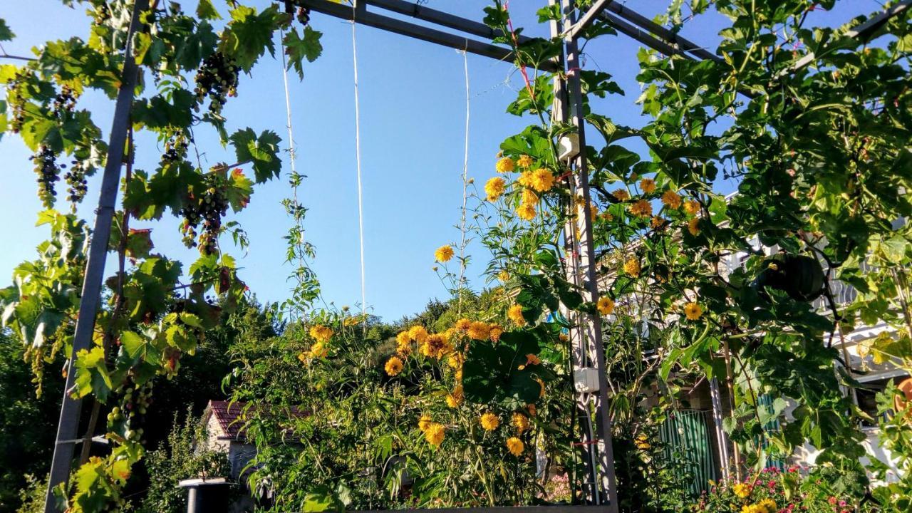 Apartmani Bosco 티바트 외부 사진