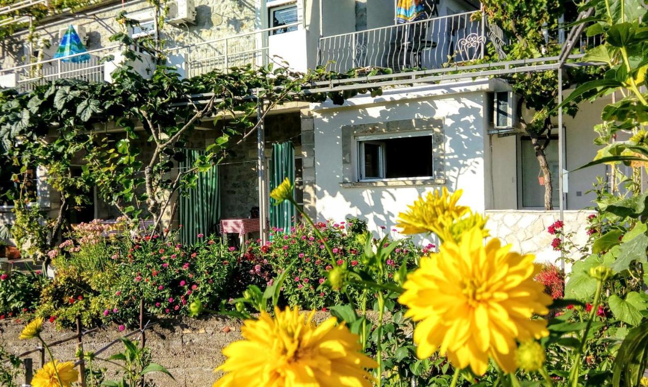 Apartmani Bosco 티바트 외부 사진